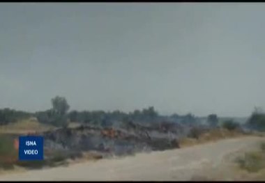 آتش سوزی همزمان 11 نقطه میناب