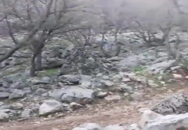 جوشش یکی از چشمه های سفید کوه لرستان بعد از سی سال